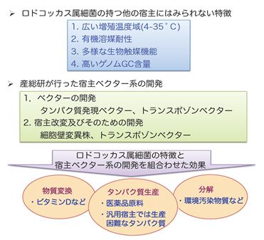 ロドコッカス属細菌の特徴と宿主ベクター系の利の図