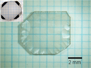 作製した単結晶ダイヤモンドウエハー　左上は種結晶の写真