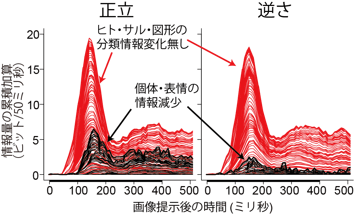 顔画像提示後に側頭葉単一神経細胞が処理する情報量の時間経過の図