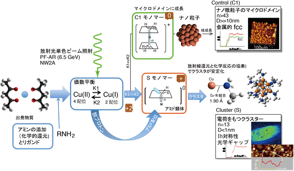 化学的条件（価数平衡）と放射線還元で成長する原子十数個の小さなナノ粒子（模式図）の図