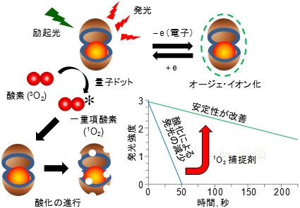 量子ドットの発光が減少する機構と発光の安定性の改善法の図