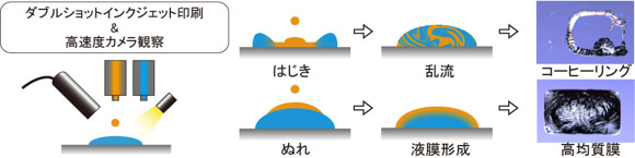 異なるマイクロ液滴どうしの特異な混合様式と、薄膜形成との相関の図