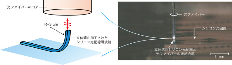立体湾曲シリコン光配線の概念図（左）と、それを搭載したシリコン光回路が表面垂直方向からの光ファイバーと光結合した状態の光学顕微鏡写真（右）の図