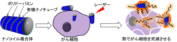 光発熱効果を利用したナノコイル複合体によるがん細胞の死滅の概念図
