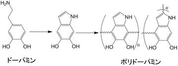 ポリドーパミン（PDA）説明図