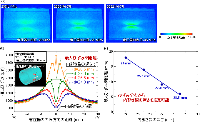 (a)各サイクル数における応力発光画像の比較、(b)数値解析によって得られた円周方向のひずみの比較、(c)内部き裂の深さと最大ひずみ間距離との関係の図