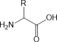 アミノ酸誘導体の分子構造図
