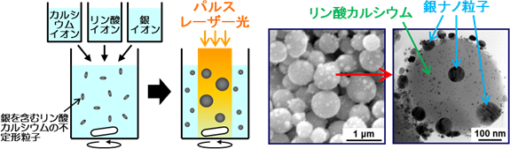 （左）複合粒子合成技術の概念図、（右）合成した粒子断面の電子顕微鏡像