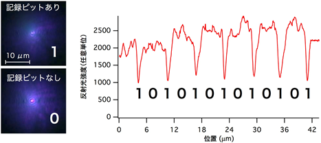 今回開発した記録材料の顕微鏡画像（左）と、試料内の記録ピットを横切るように観測位置を変えた際の反射光強度の変化（右）の図