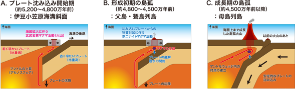伊豆小笠原地域におけるプレート沈み込みとそれに引き続く島弧火山形成モデルの図