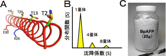 円偏光二色性測定の結果、沈降法による実験結果の図