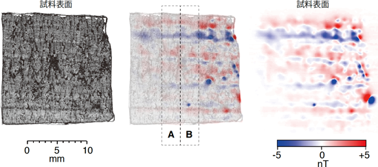 マンガンクラスト薄片試料の磁気イメージ（右、中央）と光学顕微鏡像（左、中央）の図