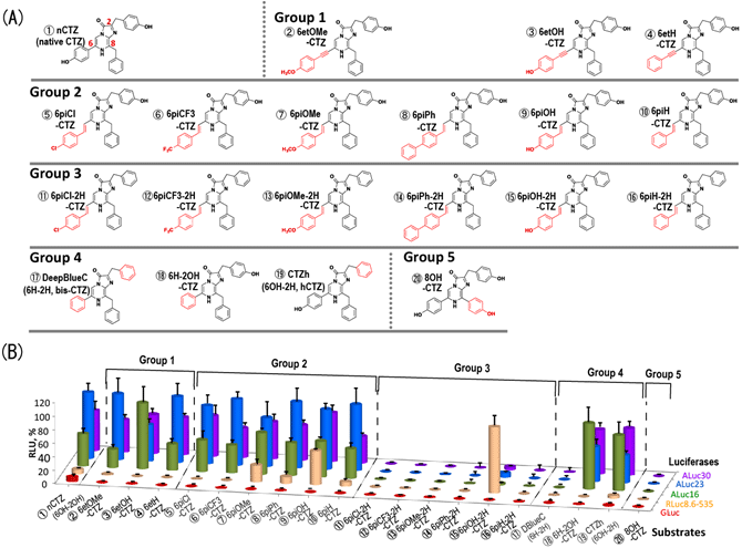 (A)合成した発光基質の化学構造図と(B)合成した発光基質による発光酵素の相対的発光強度の図