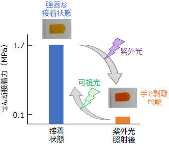 図2