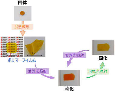 概要図