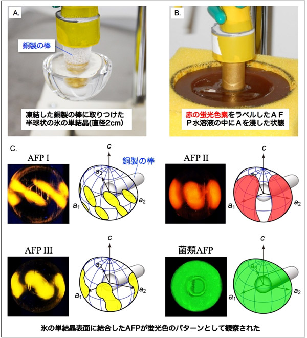 図2