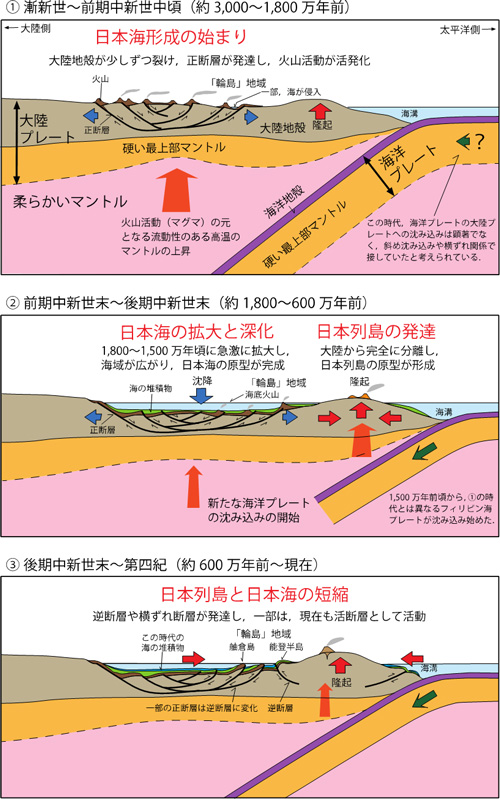 産総研 能登半島北部周辺に刻まれた日本海発達の歴史