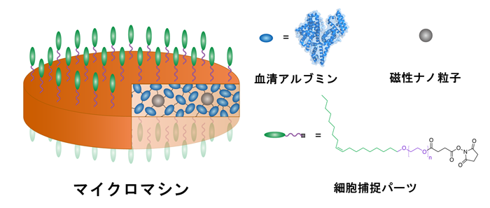 図1