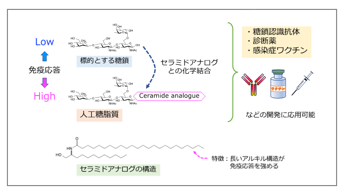 生命工学領域の最近の研究成果の概要図