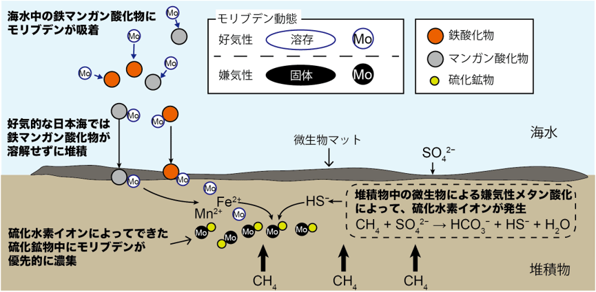 図5