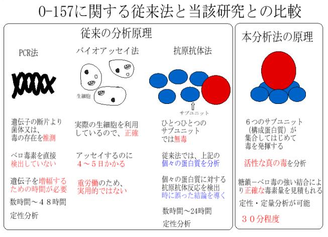 図　O-157に関する従来法と当該研究との比較図