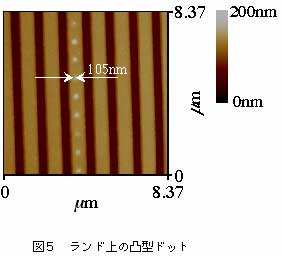 ランド上の凸型ドットの図