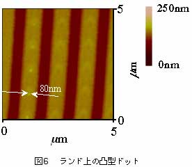 図5と異なる条件下でのランド上の凸型ドットの図