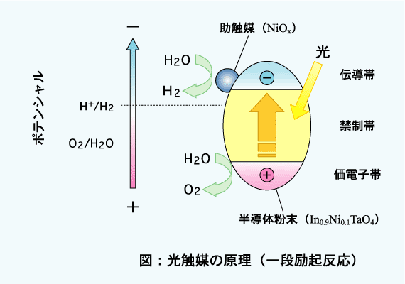 光触媒の原理（一段励起反応）図