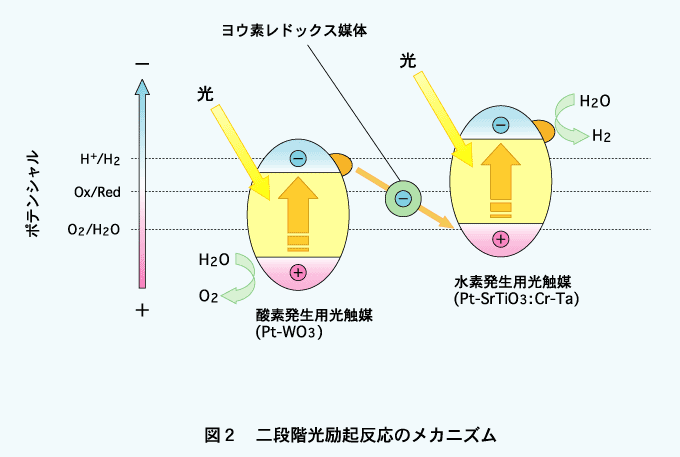 二段階光励起反応のメカニズムの図