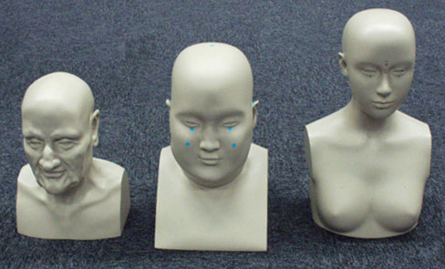 ３つのダミー人頭の写真