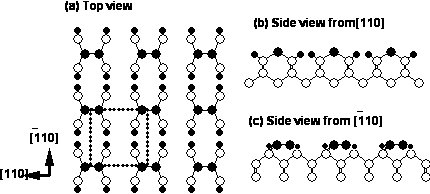 Si(001)-2×2:N表面の構造モデル図