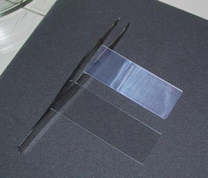 二酸化チタンをつけたスライドガラスと
さらにアパタイトをつけた状態のスライドガラスの写真
