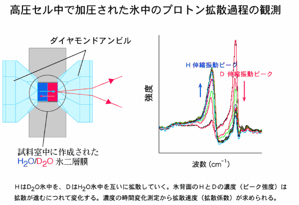 高圧セル中で加圧された氷中のプロトン拡散過程の観測についての図とグラフ