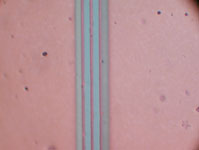 ナノペーストのポリイミド基板上への印字例の写真
