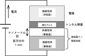 単結晶ナノ構造電極を持つ新型TMR素子の図