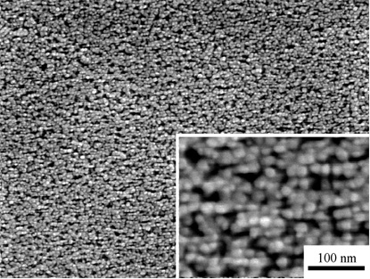 水素－酸素比（3：1）で５分間還元処理を行った銀ナノ粒子集合体の画像