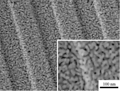 水素－酸素比（4：1）で約２分間還元処理を行った光ディスク基板表面の画像