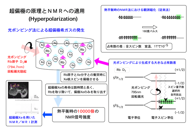超偏極希ガスの発生原理と核磁気共鳴分光法の高感度化の図