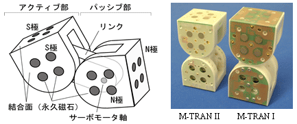 モジュールの構造図と写真