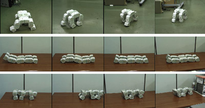 様々な構造のモジュール型ロボットの移動動作の写真