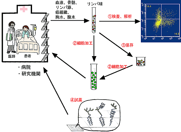 事業内容の図