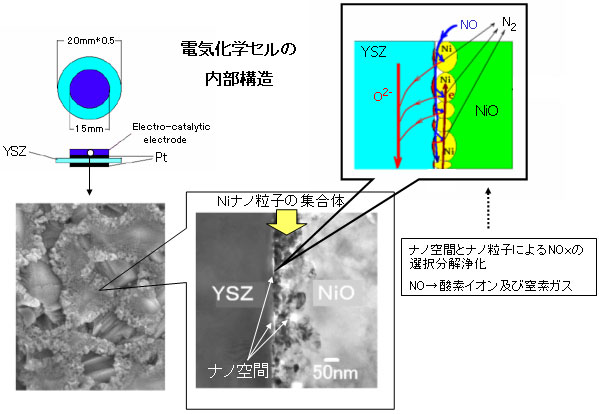 電気化学セルの内部構造図