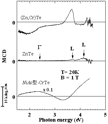 (Zn,Cr)Teが真性の強磁性半導体であることを示す磁気円二色性(MCD)分光スペクトル図