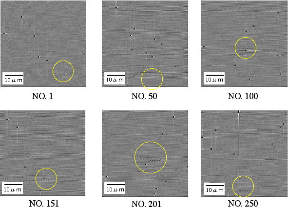 ディスク上にランダムに記録された５連ピットのAFM観察の写真