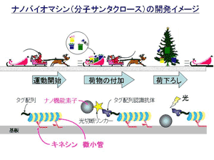 ナノバイオマシン（分子サンタクロース）の開発イメージ図