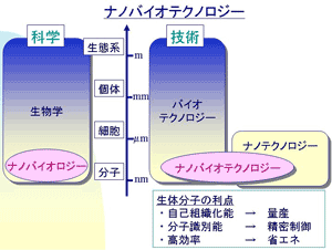 ナノバイオテクノロジーの説明図