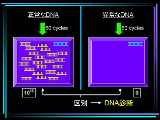 リガーゼ連鎖反応法説明図3