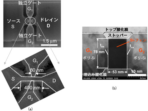 試作した4端子駆動型ダブルゲートMOSFETの、平面SEM写真、Siフィン型チャネルの断面TEM写真