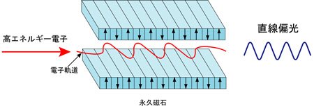 従来のアンジュレータの図