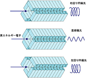 偏光アンジュレータの磁石配置の図